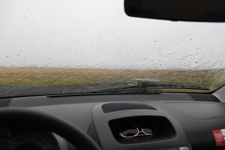 Rain, rain. IMG_2989