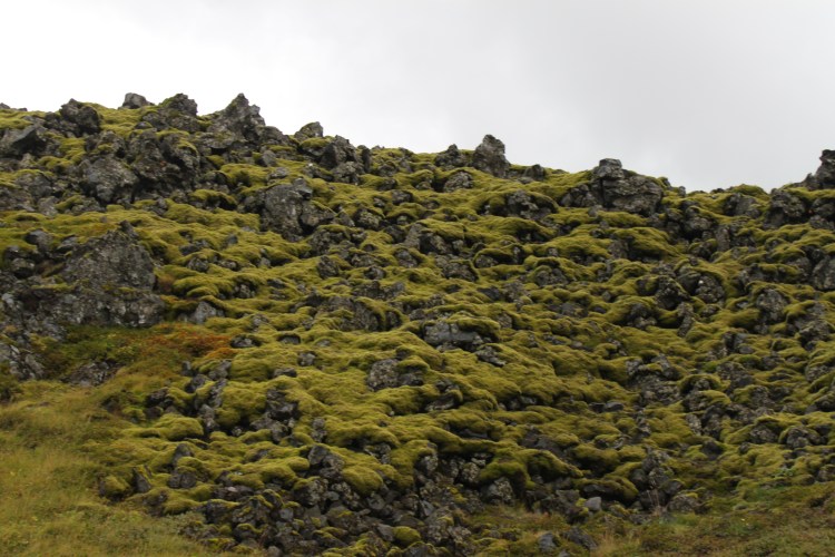 Arnarstapi to Hellnar IMG_3041